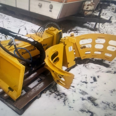 (TS0396) Dutchman Tree Rex